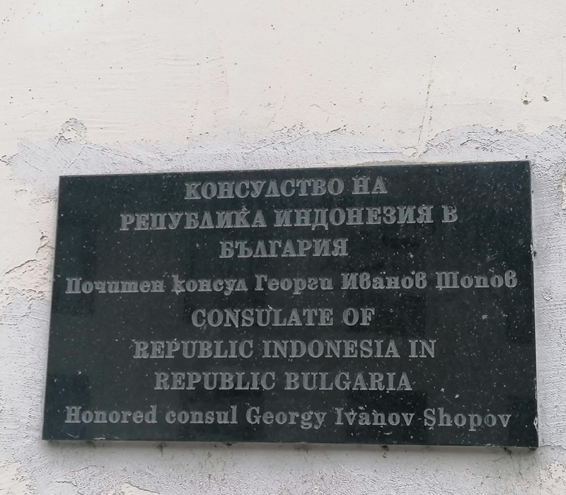 Консулство